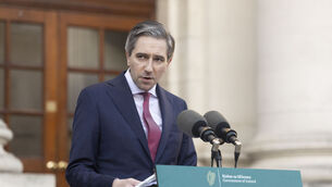 <p>Tánaiste Simon Harris. Picture: Sam Boal/Collins</p>