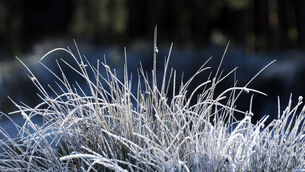 <p>Met Éireann have said that there is a chance of wintry showers as a result of the cold snap. Picture: Denis Minihane.</p> <p>Met Éireann have said that there is a chance of wintry showers as a result of the cold snap. Picture: Denis Minihane.</p>