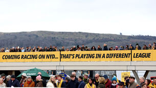 <p>POSITIVE SIGNS: Racegoers at Cheltenham for the New Year's Day fixture. 	Picture: Nigel French/PA</p>