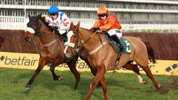 Cheltenham Races - Thursday January 1st