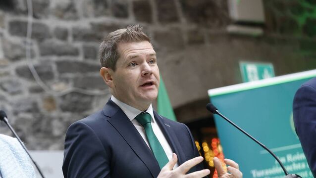 <p>Peter Burke told the 'Irish Examiner' that any increase in paid sick leave from a statutory minimum of five days was off the table. File picture: Julien Behal</p>