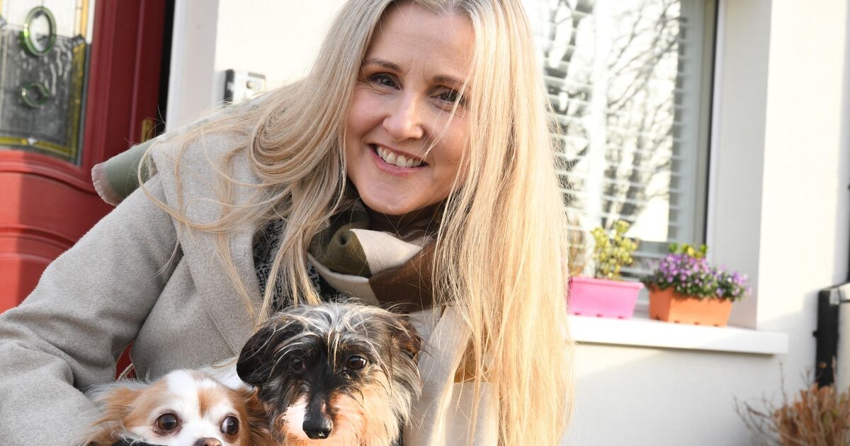 In a country where animal cruelty is widespread, have your say on animal welfare before it's too late