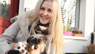 <p> Alison O'Reilly with two of her six rescue dogs, Poha and Minnie. Pictures: Moya Nolan</p>