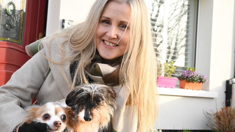 In a country where animal cruelty is widespread, have your say on animal welfare before it's too late