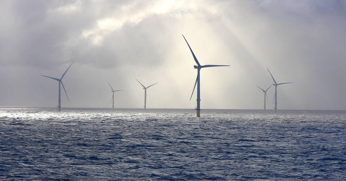 Government takes €35m security guarantee as plans withdrawn for €1.4bn wind farm