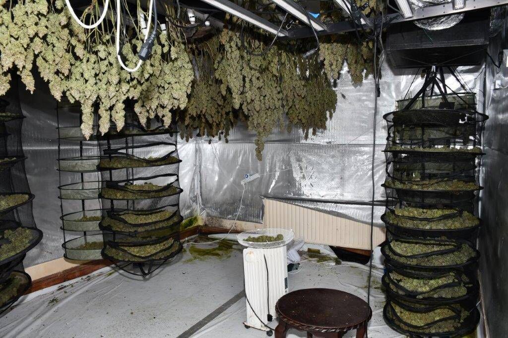 The operation is part of Operation Tara