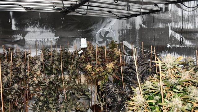 <p>Investigations are ongoing</p>