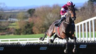 <p>SMART PROSPECT: Classical Creek made all on his hurdling debut at Navan in November and can the step to Grade One company in his stride at Navan on Sunday. 	Picture: Healy Racing</p>