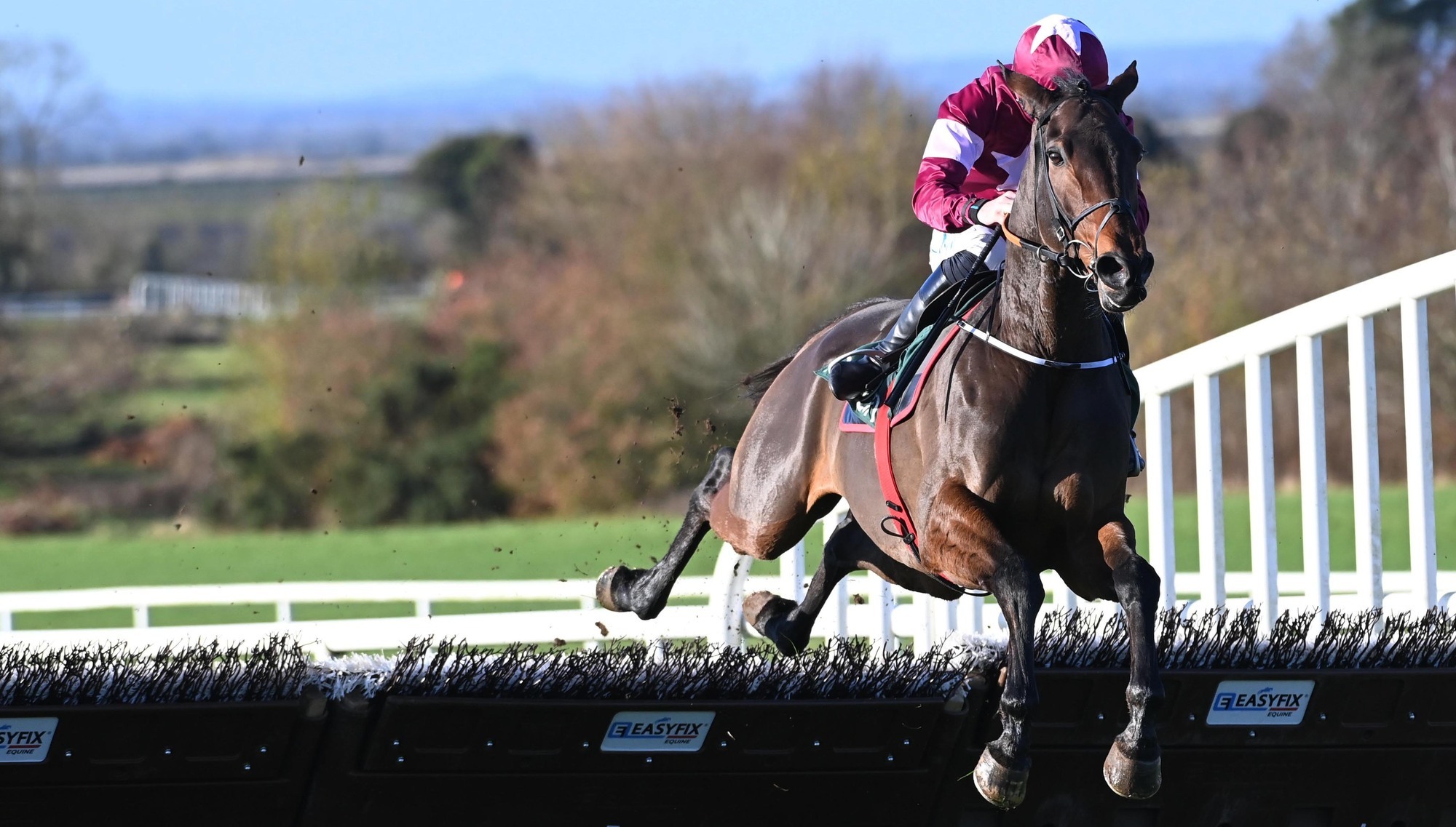 Classical Creek can strike Grade One gold for in-form Elliott 
