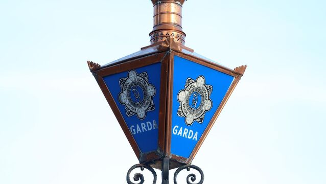 <p>Gardaí appeal for witnesses after Roscommon assault leaves man critically ill.</p>