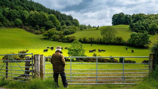 <p>In intestacy, the estate is distributed in a fixed order, depending on which relatives are alive at the time of death, writes solicitor Karen Walsh.</p>