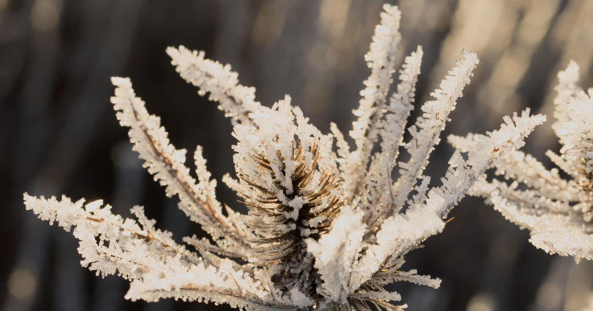 Met Éirean warns of 'severe frost and ice' as temperatures to drop to -4C
