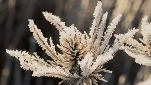 <p>From 6pm on Saturday evening, a low temperature and ice warning for Munster, Carlow, Dublin, Kildare, Kilkenny, Laois, Longford, Meath, Offaly, Westmeath, Wexford, and Wicklow will be in place. File Picture</p> <p>From 6pm on Saturday evening, a low temperature and ice warning for Munster, Carlow, Dublin, Kildare, Kilkenny, Laois, Longford, Meath, Offaly, Westmeath, Wexford, and Wicklow will be in place. File Picture</p>