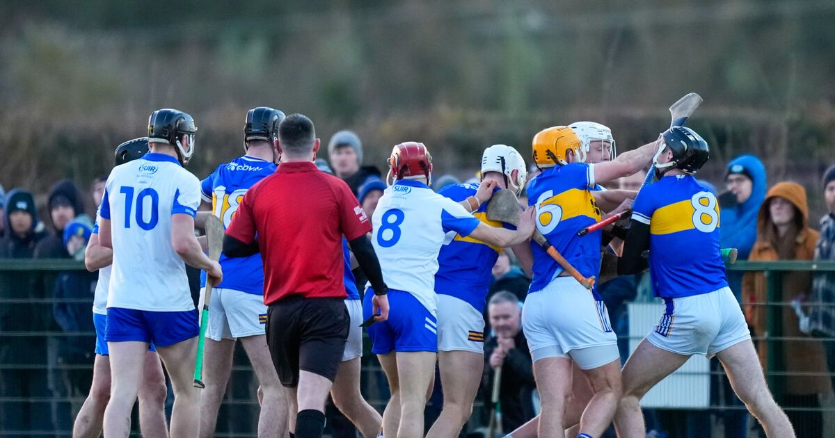 Waterford produce fightback to torment Tipperary