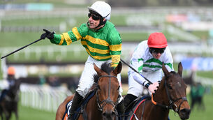 <p>CLASSY OPERATOR: The New Lion was an impressive winner of the Turners Novices' Hurdle at last year's Cheltenham Festival. 	Picture: Healy Racing </p>