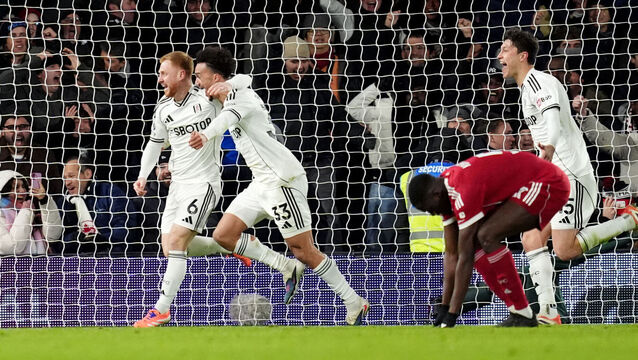 <p>Fulham's Harrison Reed celebrates scoring a late equaliser against Liverpool. Pic:Adam Davy/PA Wire.</p>