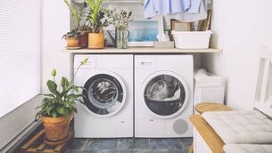 <p>A high spin speed on your washing machine should wring the clothes dry as fully as possible, allowing the dryer a less arduous run. File picture</p>