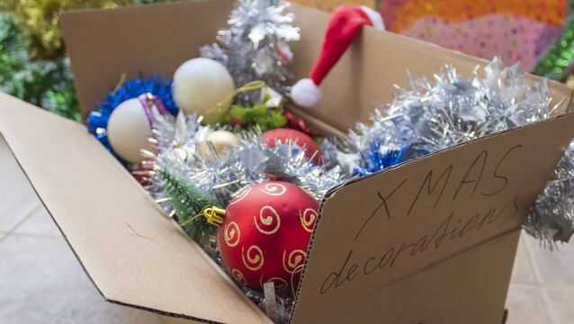 <p>Julie Jay enjoys the festive period but is glad when it's all over. File picture: iStock </p>