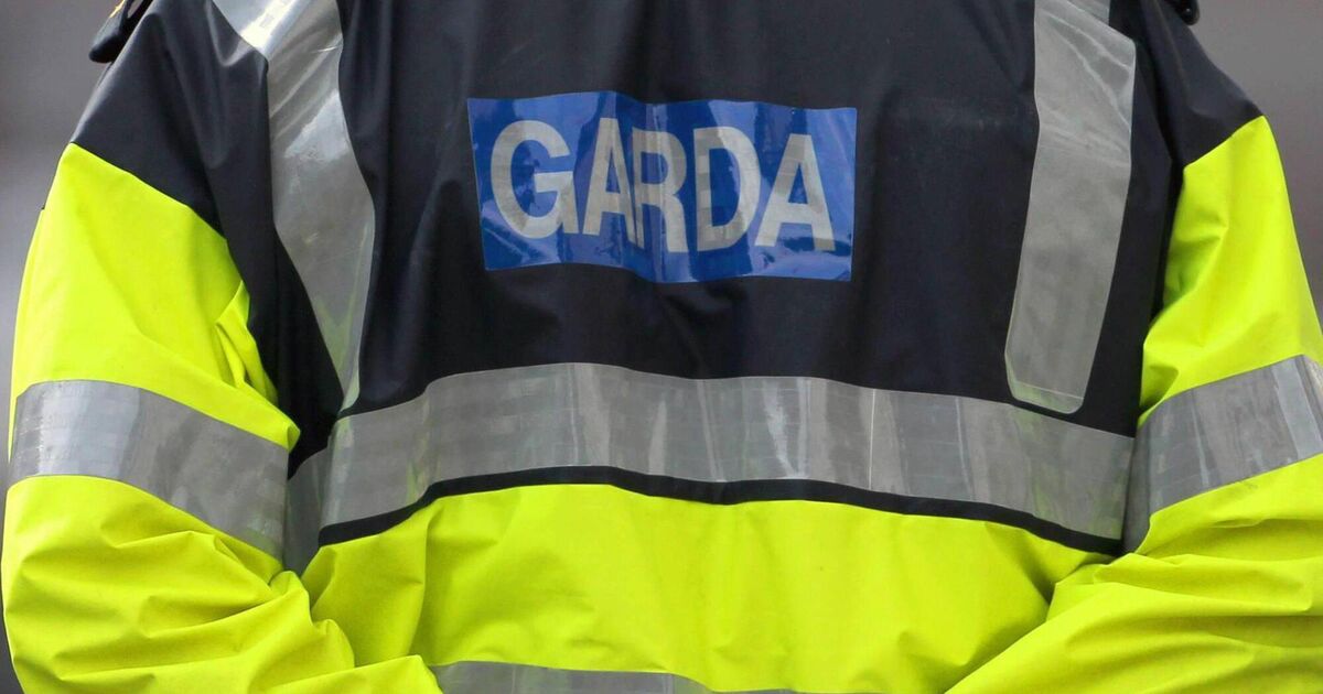 Cork man told garda 'I hope you die over Christmas' after public order arrest, court told