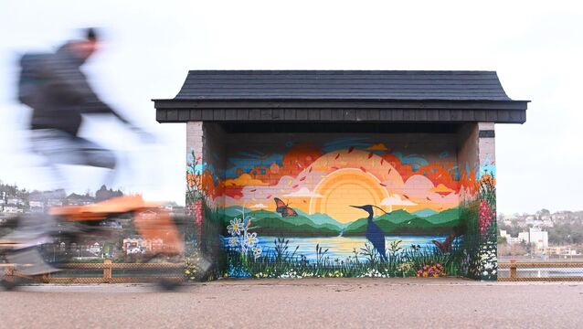 <p> A cyclist passes the mural by Raffaele Muraca on the Marina in Cork. Picture: Larry Cummins</p>