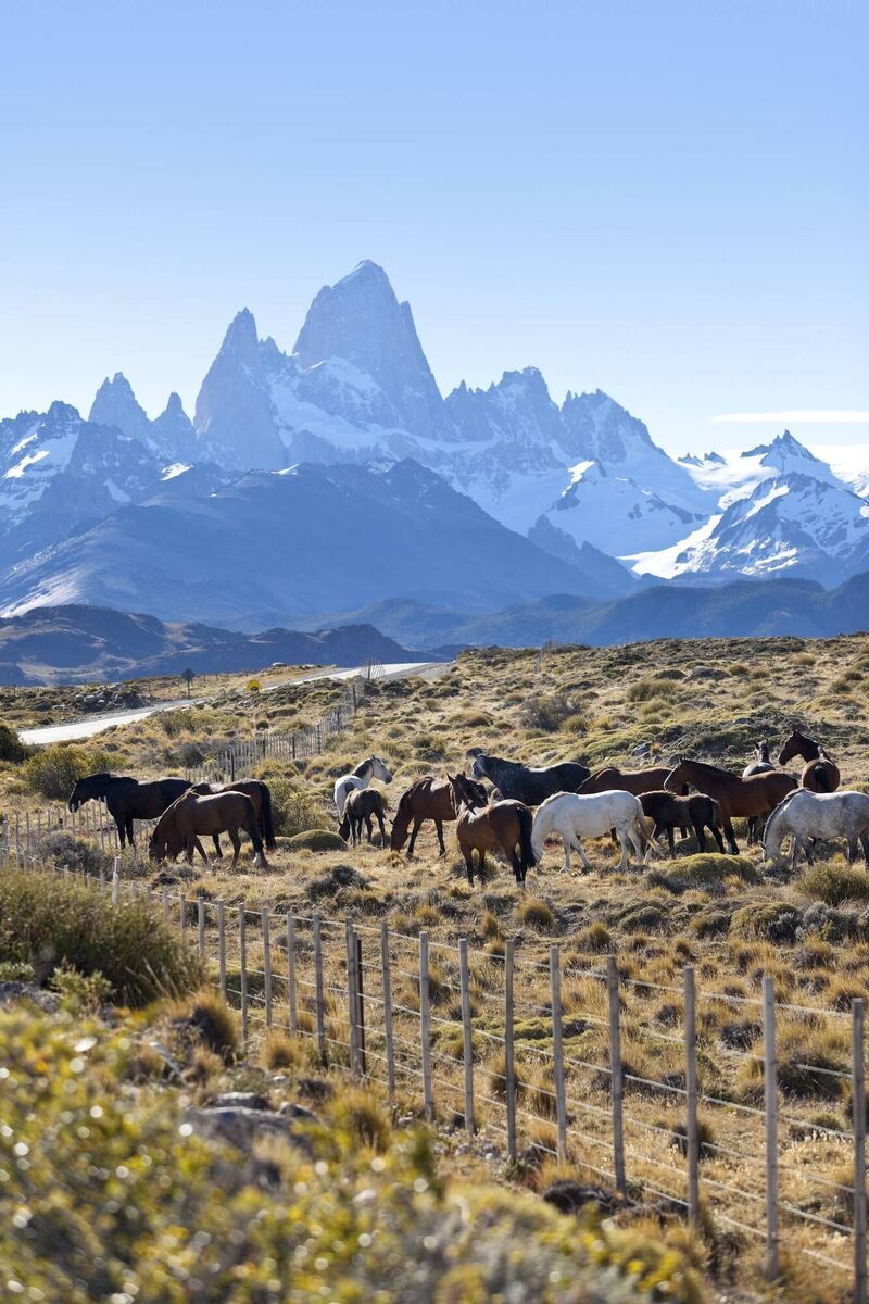 Patagonia