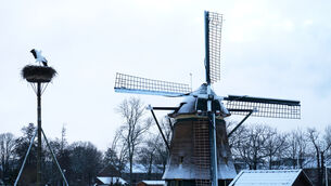 Windmill De Vlieger stands in a snowy field in the town of Voorburg on the outskirts of The Hague, Netherlands, as snow and ice covers the country (Mike Corder/AP)