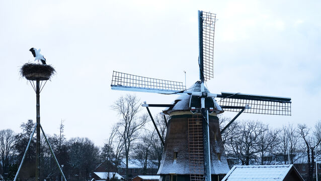 Windmill De Vlieger stands in a snowy field in the town of Voorburg on the outskirts of The Hague, Netherlands, as snow and ice covers the country (Mike Corder/AP)