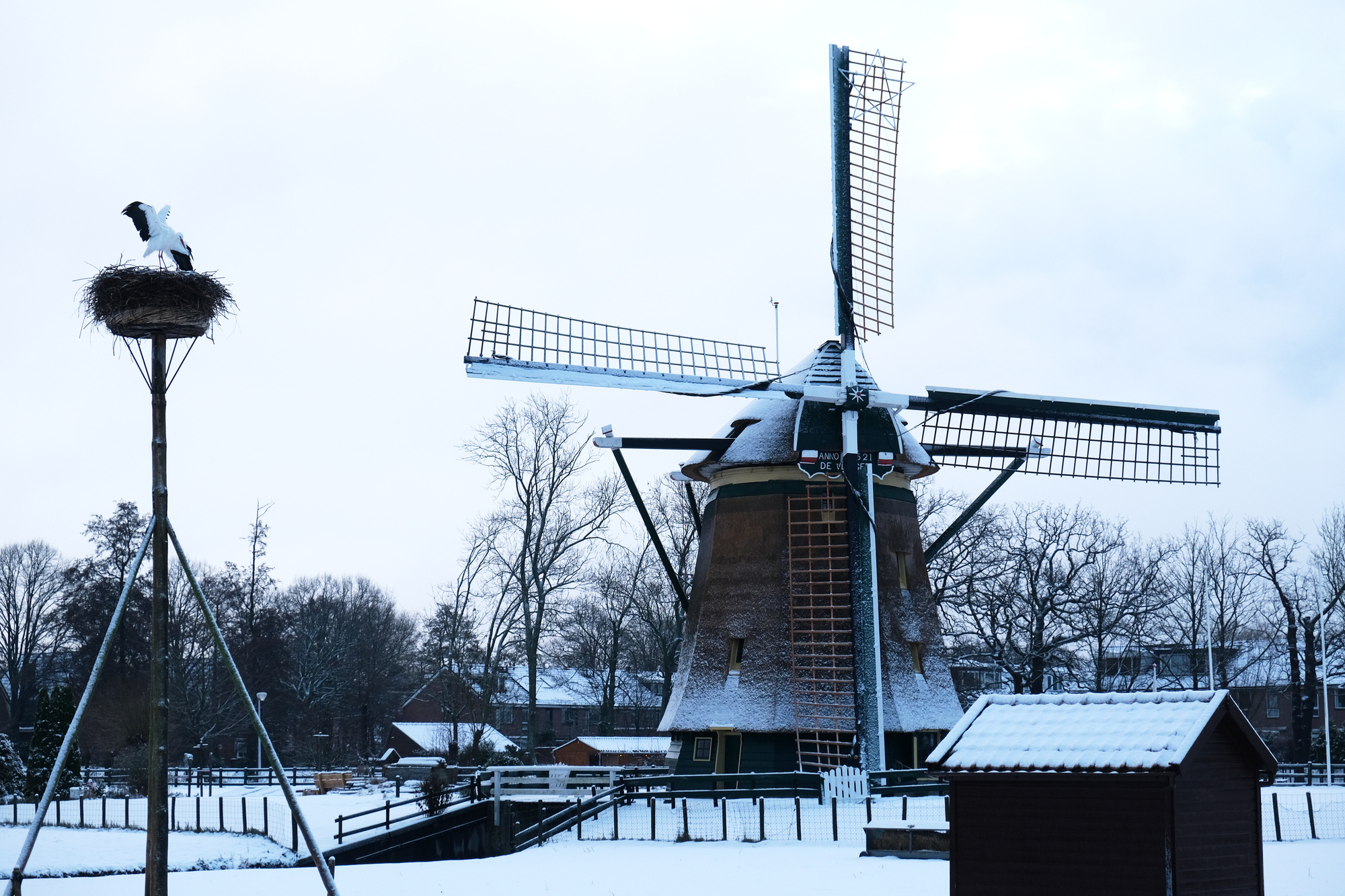 Snow and ice wreak havoc across Europe causing deadly accidents and travel woes