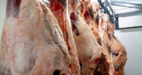 Close up shot of raw meat hanging on hooks at a slaughterhouse