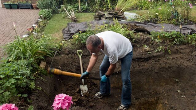 <p>Maybe 2026 will be the year to make a farm or garden pond</p>