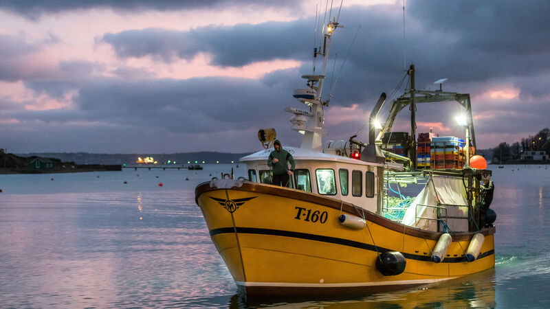 Irish weather lore preserved a deep understanding of our world