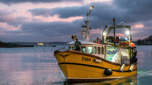 <p>In the past, before fishermen set out to sea they watched the skies. File picture: David Creedon</p>