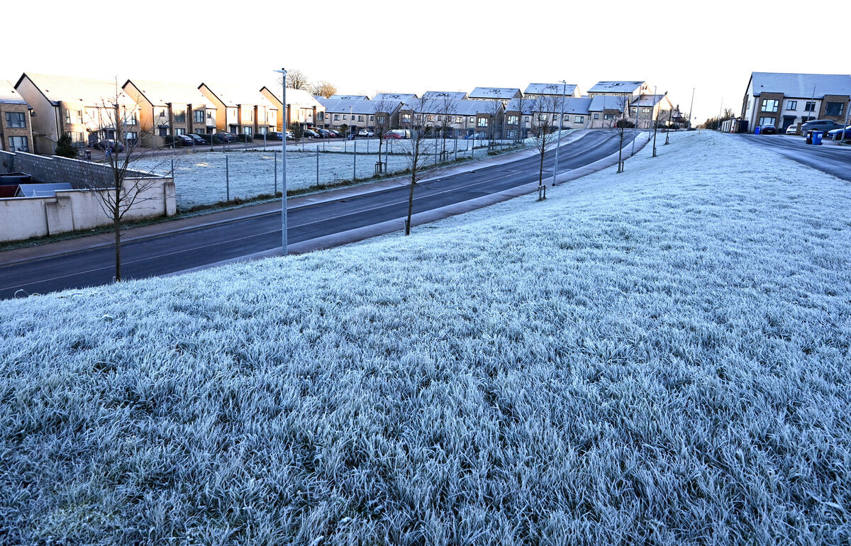  Heavy frost in Cork this week. Picture: Eddie O'Hare