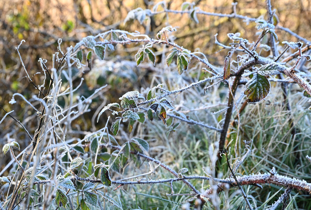 Cold air arriving from the north and east has pushed aside the Atlantic’s usual mild influence, and Ireland feels briefly, unmistakably wintry. Picture: Denis Minihane.