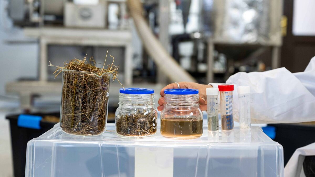 Munster Technological University (MTU) has launched a new pilot green biorefinery at its Kerry Campus. Photo: Domnick Walsh © Eye Focus LTD. 