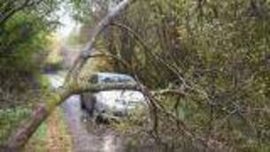 <p>Studies show storms experienced in the past, like Storm Ophelia, will become more powerful, larger, and more destructive in a warmer world, Met Éireann said.</p>