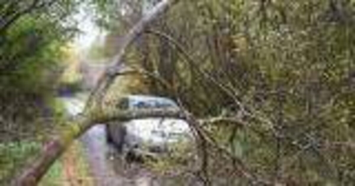 Global warming increasing risk of severe weather events, Met Éireann warns