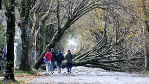 <p>Met Éireann said projections pointed to further warming in future, while it is predicted our rainfall patterns will change, bringing increased dry periods and heavy rainfall events.</p>