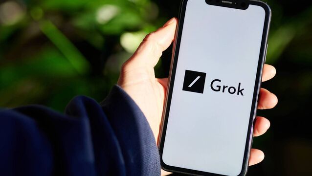 <p>Grok is designed to perform a multitude of functions, such as answering questions, analysing visual information from cameras, summarising convoluted documents, and generating imagery. Picture: Gabby Jones/Bloomberg</p>