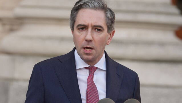 <p>Tánaiste Simon Harris (Brian Lawless/PA)</p>