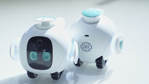 Hisense companion robots on display during the CES tech show in Las Vegas (Abbie Parr/AP) Hisense companion robots on display during the CES tech show in Las Vegas (Abbie Parr/AP)