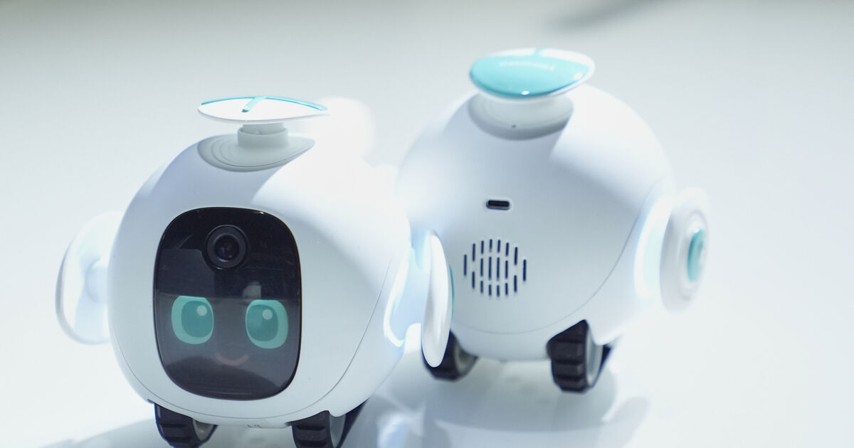 ★ロッツォ•ＡＹ★ ☆ロッツォ•AY☆ Amazon.co.jp: 52TOYS Lotzo My Heart Is Daisy