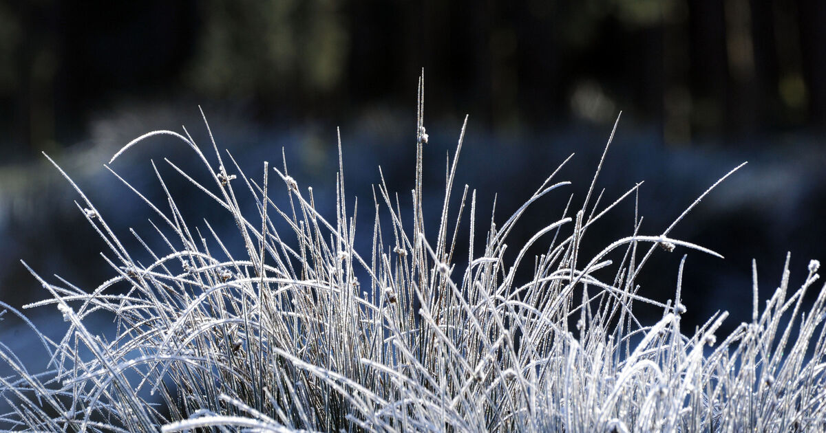 Storm Goretti: Met &Eacute;ireann issues snow and rain warning for Cork and Kerry