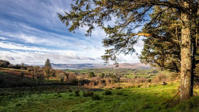 <p>The plot features an elevated site with spectacular views to the southwest of Bantry Bay and surrounding peninsulas.</p>