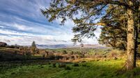 Land, lakes and long views: 75-acre farm overlooking Bantry Bay for sale Land, lakes and long views: 75-acre farm overlooking Bantry Bay for sale