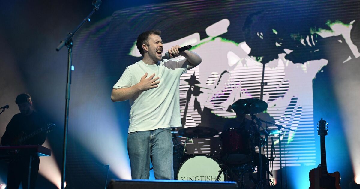 Homegrown artists propel domestic music market with more than 13bn Irish streams in 2025