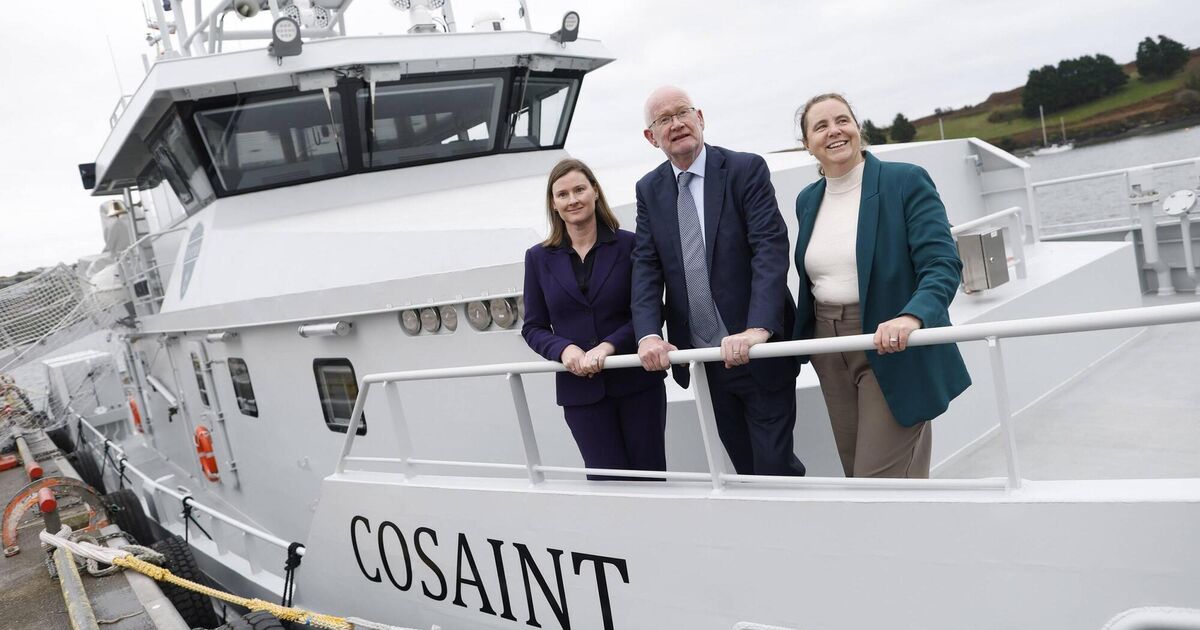 Revenue's 291,000 tax audits and interventions brought in &euro;734m last year