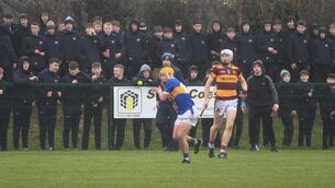 <p>TIPP TOP: Thurles CBS's bid to win back-to-back Harty Cup titles is still on after they beat De La Salle in the quarter-finals. Pic: Larry Cummins</p>