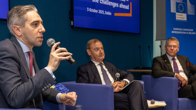 Ireland ‘should use presidency of Council of EU to lead on renewable energy’