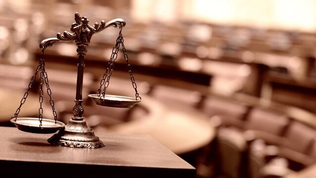 <p>Judicial Council spent more than €250,000 on judge training, including courses on trauma, bias and coercive control.</p>